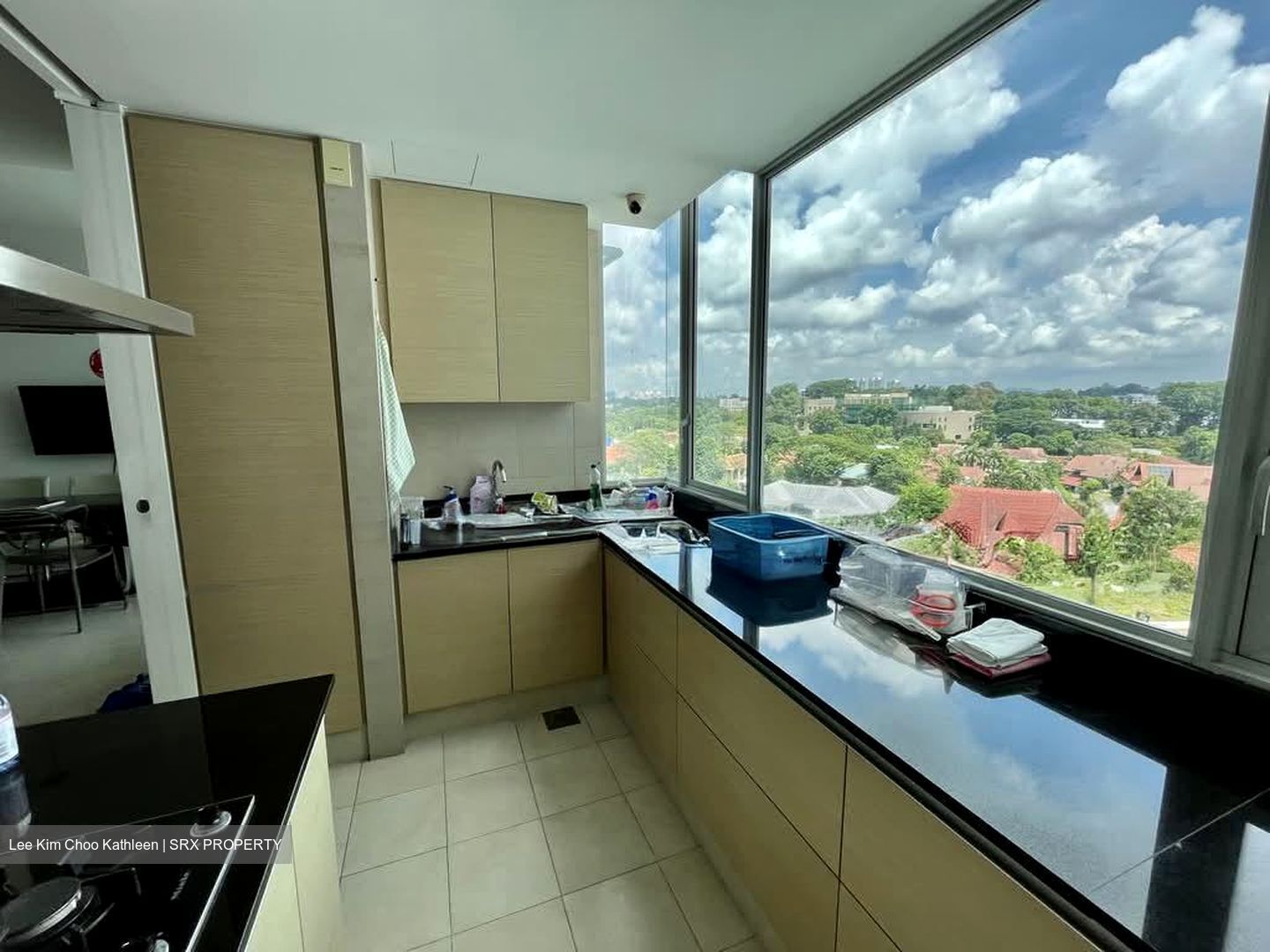 The Grange (D10), Condominium #569627171